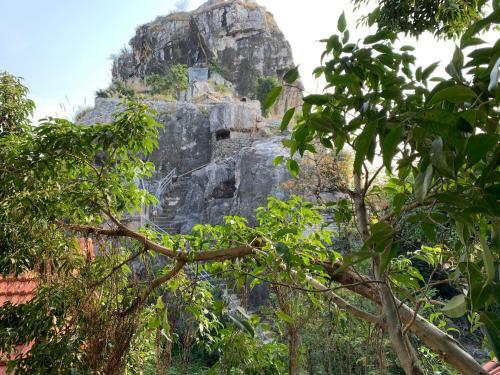 Trang An Mountainside Homestay