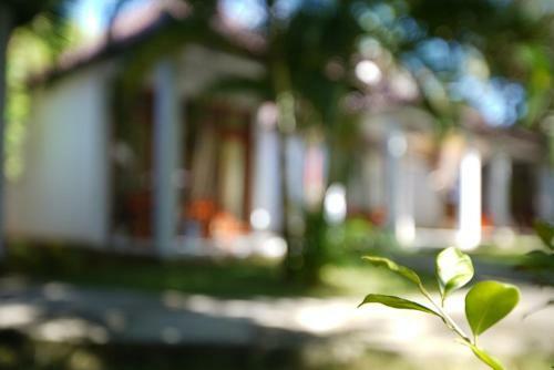 Hotel Hoa Nhat Lan Bungalow
