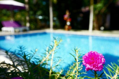 Hotel Hoa Nhat Lan Bungalow
