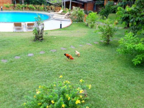 Hostal Phu Quoc Sen Lodge Bungalow Village