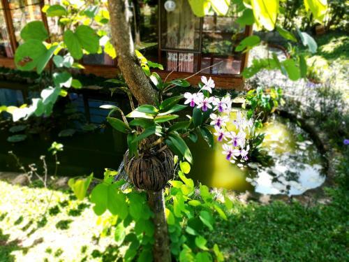 Hostal Phu Quoc Sen Lodge Bungalow Village