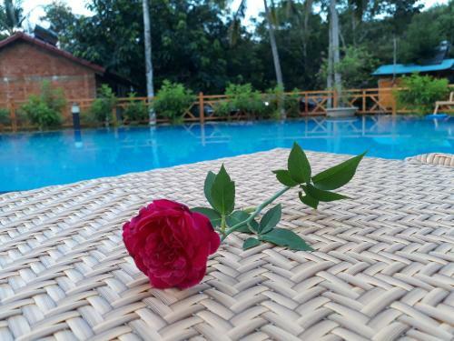 Hostal Phu Quoc Sen Lodge Bungalow Village