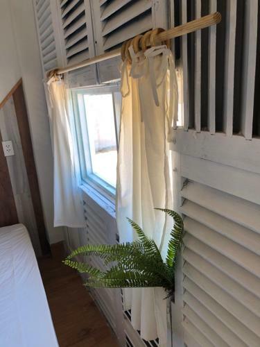 Sea Urchin Homestay
