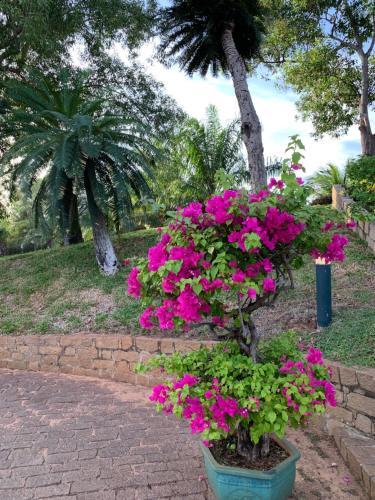 Bi?t Th? Bi?n M?i N� - Villa Muine Domaine A-d3