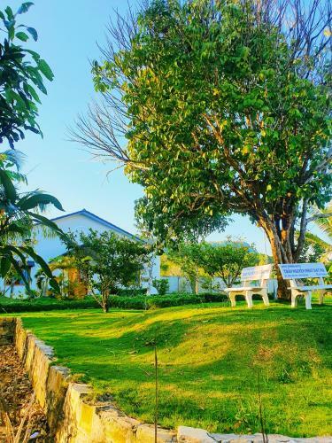 Lodge Bungalow Vinahouse