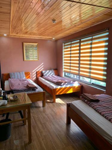 Muong Hoa River View Homestay