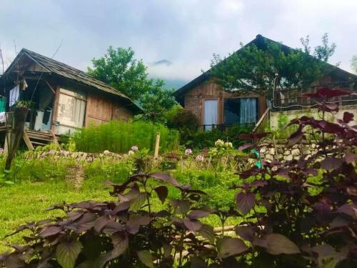 Hotel C?mlam Eco House