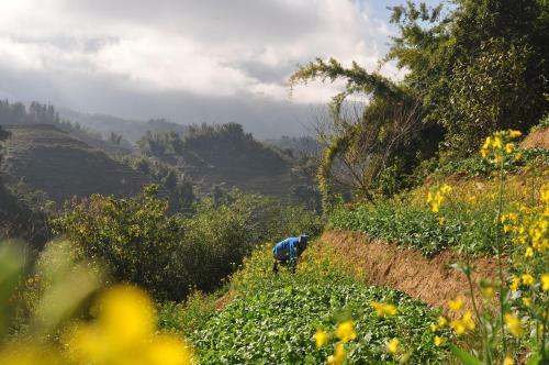 Hotel Chapa Farmstay - Mountain Retreat