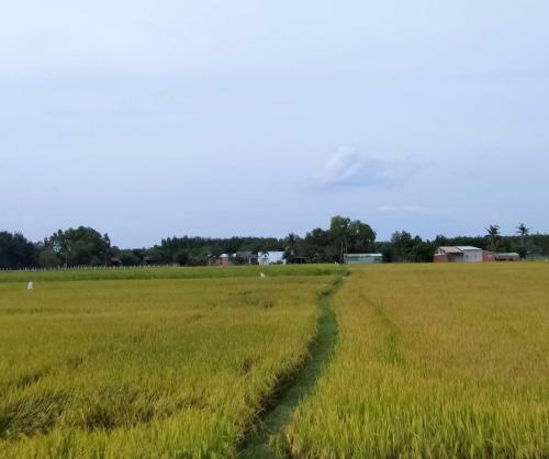 Cu Chi Boutique Farmstay