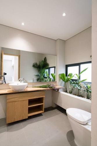 The Avis Apartments - Greathouse