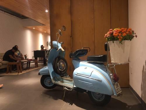 The Avis Apartments - Greathouse