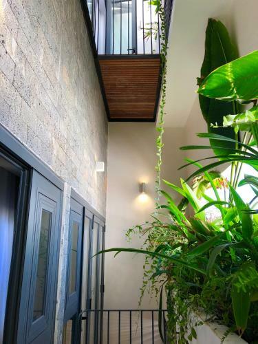 The Avis Apartments - Greathouse