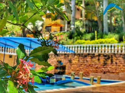 Hotel Posada Campestre San Gil