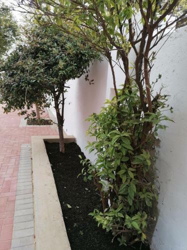 Hostal More-inn Guest House