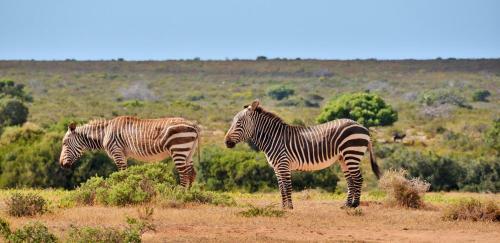Hotel De Hoop Collection - Equipped Cottages