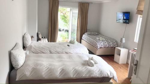 Bed & Breakfast T House