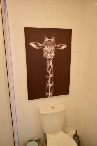 Apartamento 1bed In Gardens Tablemountain View