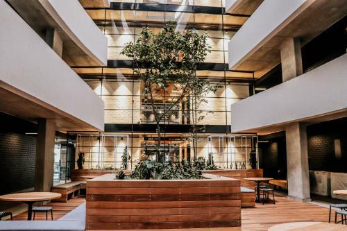 Apartamento Wex1 - Modern,wifi,netflix,gym,pool, Secure Parking