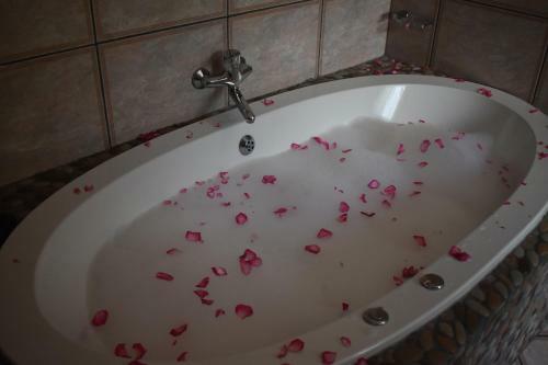 Apartamento House Alika