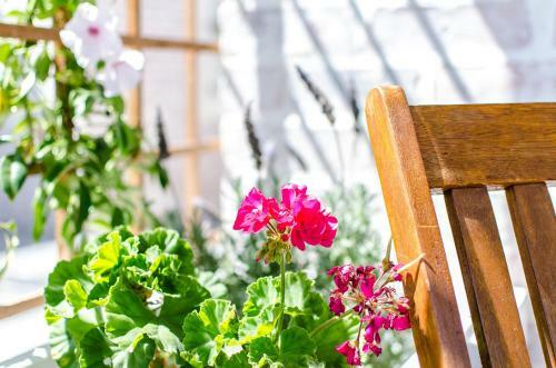 Apartamento Red Bishop - Birds, Beach & Beauty