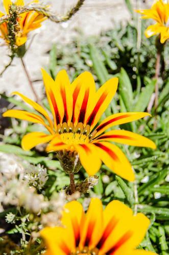 Apartamento Red Bishop - Birds, Beach & Beauty