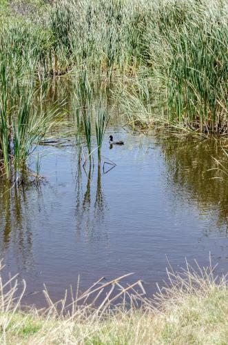 Apartamento Red Bishop - Birds, Beach & Beauty