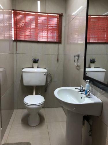 Hostal The Lavender Guesthouse