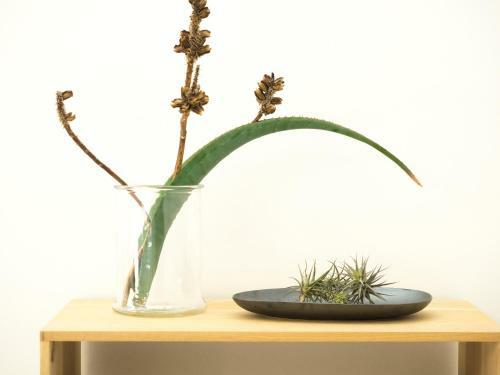 Knysna Holiday Home - Amazing Lagoon Views