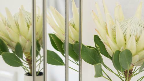 Knysna Holiday Home - Amazing Lagoon Views