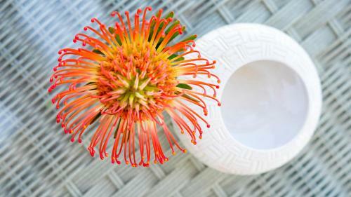 Knysna Holiday Home - Amazing Lagoon Views