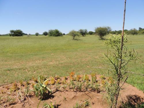 Lodge Karibu River Retreat
