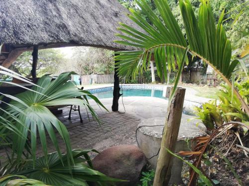 Bed & Breakfast Maputaland Lodge