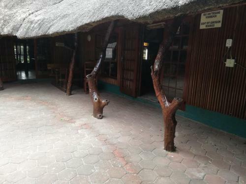 Bed & Breakfast Maputaland Lodge
