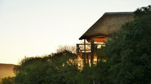 Hotel Garden Route Safari Camp