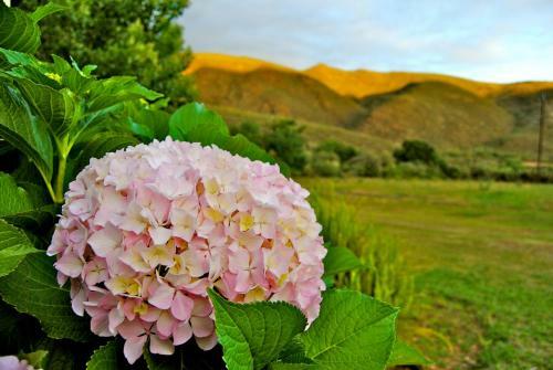 Agroturismo Assegai Rest