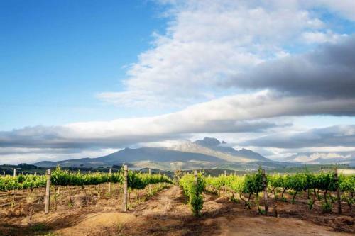 Fransmanscottage - Farm Lifestyle Accommodation