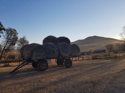 Agroturismo Piccadilly Farm Cottage