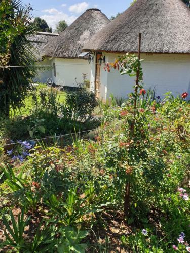 Agroturismo Piccadilly Farm Cottage