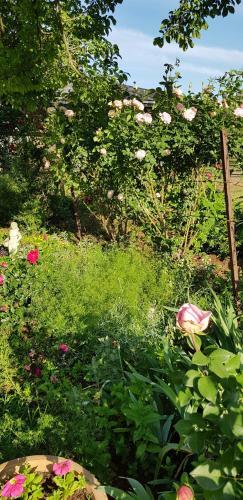 Agroturismo Piccadilly Farm Cottage