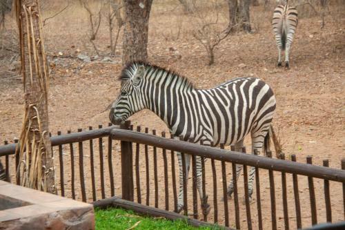 Lovely Holiday Home Bordering Kruger National Park