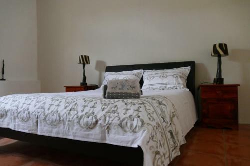 Hostal Adonsonia Lodge
