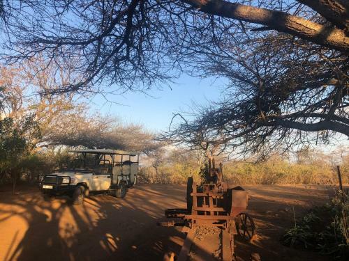 Africamps At White Elephant Safaris