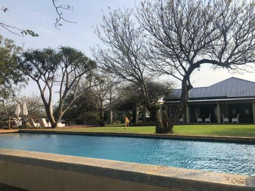 Africamps At White Elephant Safaris