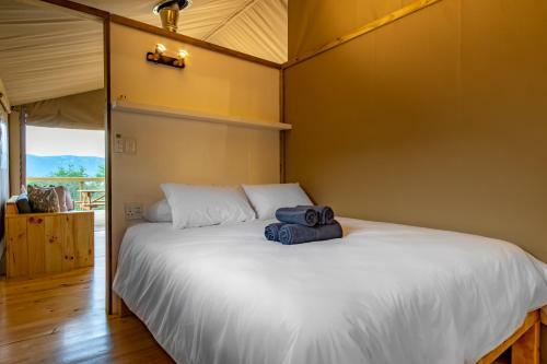 Africamps At White Elephant Safaris