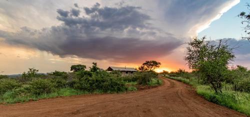 Africamps At White Elephant Safaris