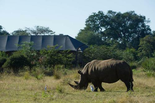Lodge Wilderness Safaris Toka Leya