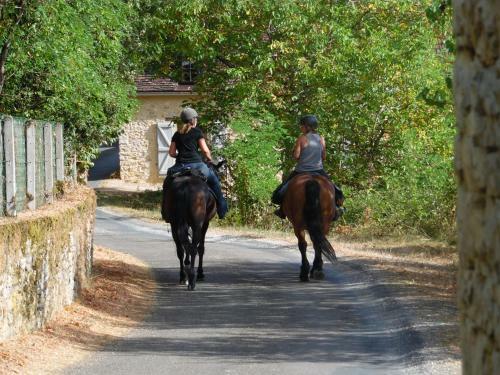 Hostal G�te Et Chambres D'h�tes Les Terrasses de Gaumier