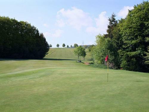 Comfortable Apartment In Rickenbach Near Forest