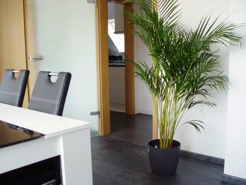 Apartamento La Domus Premium Lotte Osnabr�ck
