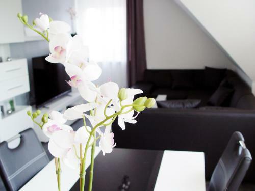 Apartamento La Domus Premium Lotte Osnabr�ck